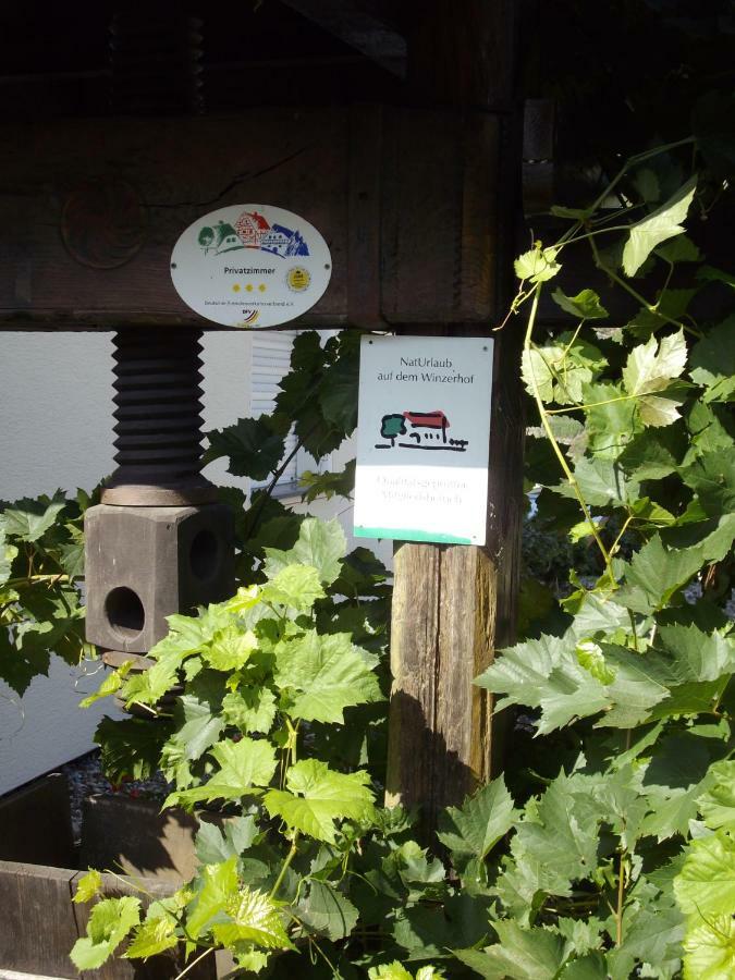 Bed & Breakfast Sandra Mueller Burg (Bernkastel-Wittlich) Exterior foto